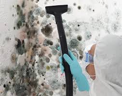 Best Commercial Mold Inspection in Chester, WV